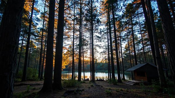 Top 10 campings économiques pour des séjours inoubliables